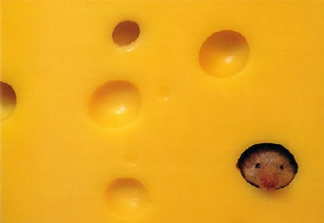 who moved my cheese